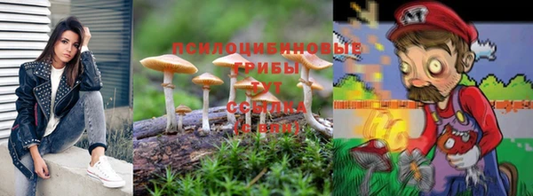 спиды Липки