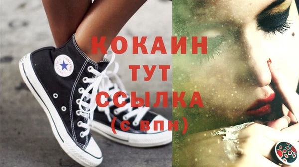 спиды Бердск
